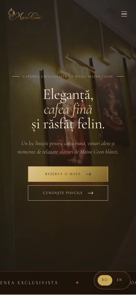 Maine Coon Cafe pe telefon
